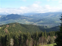 foto1