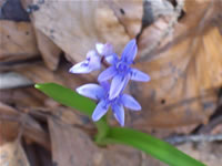 foto9