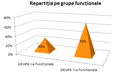 Repartiția pe grupe funcționale Repartiția pe grupe funcționale